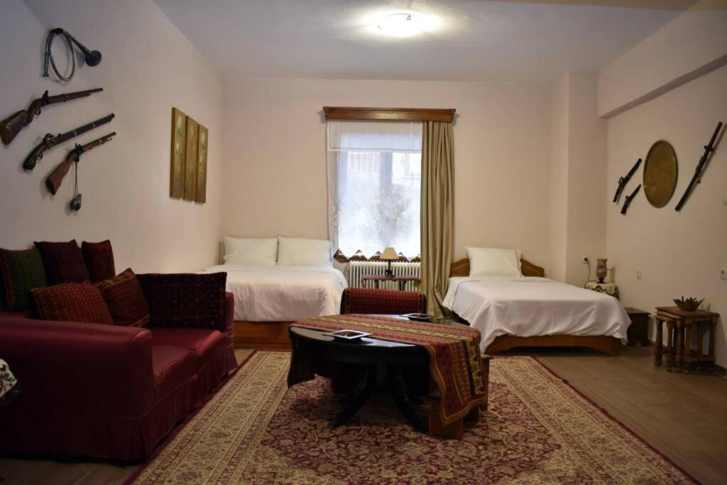 Eufrosini Guesthouse Мецово Екстериор снимка