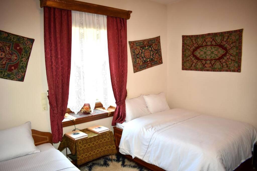 Eufrosini Guesthouse Мецово Екстериор снимка